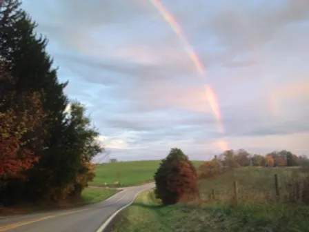 A rainbow set alongside The Drovers Trail