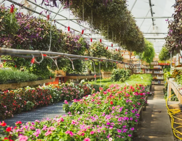 Get Ready for Spring Planting at Local Greenhouses and Nurseries