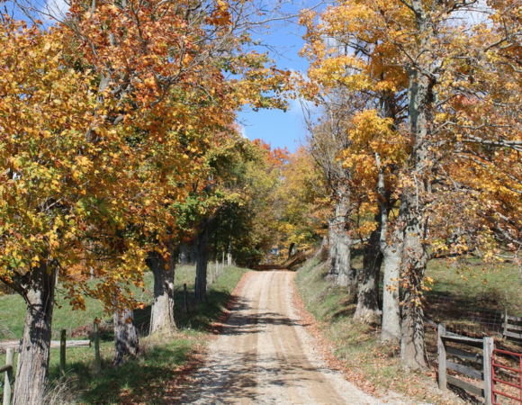 Take a Fall Foliage Road Trip to Belmont County, Ohio