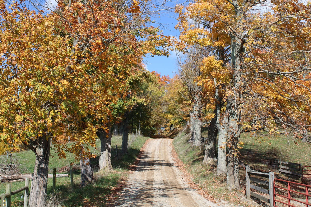The fall foliage set upon the green landscape of The Drovers Trail Scenic Byway.
