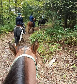 Horseback Trails