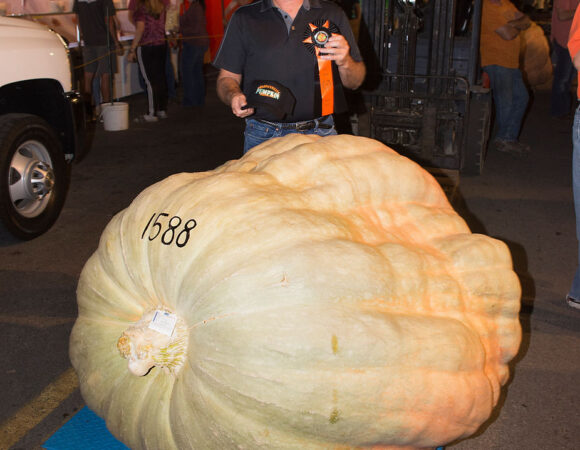 King Pumpkin Weighs 1,588 Pounds!