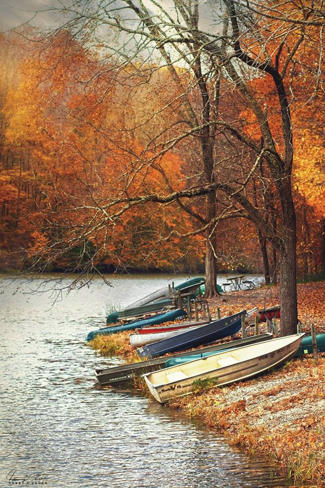 Fall foliage with boats docked on the shoreline.