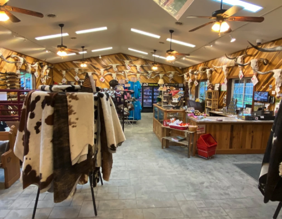 Longhorns Head to Tail Store